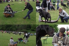 99050834_3034259056653464_6881847860980088832_n