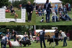 99070180_3034259176653452_7951929835972984832_n