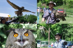 99113034_3034258846653485_5603765662133518336_n